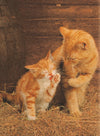 Creative Toy Company Cork Puzzles Ginger Cats 500 Piece Puzzle
