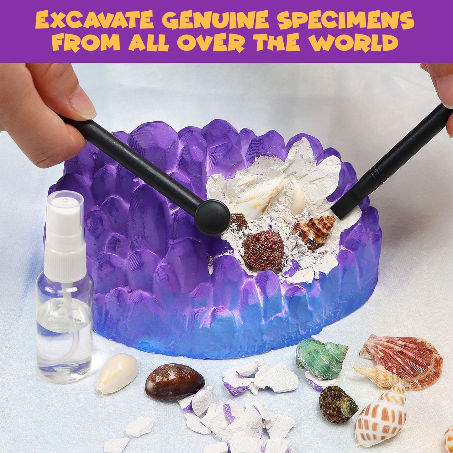 Pibex Ocean Fossil Dig Kit, Dig Up 20+ Real Shells & Seasnails, Stem Educational Activity Set Sea Creatures Excavation Toy For K