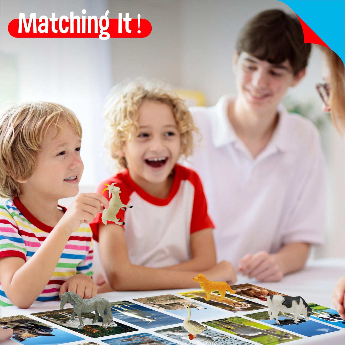 12 Pcs Farm Animal Figurines With 12 Introducing Flashcards, Realistic Farm Animals Playset Montessori Toys Science Educational Matching Game For Homeschool Preschool Toddler Kids