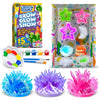 Crystal Growing Kit For Kids - 10 Crystals Science Experiment Kit + 2 Glow In The Dark Crystals With Diy Paint Display Stand – Great Gift For Girls And Boys Ages 8-12