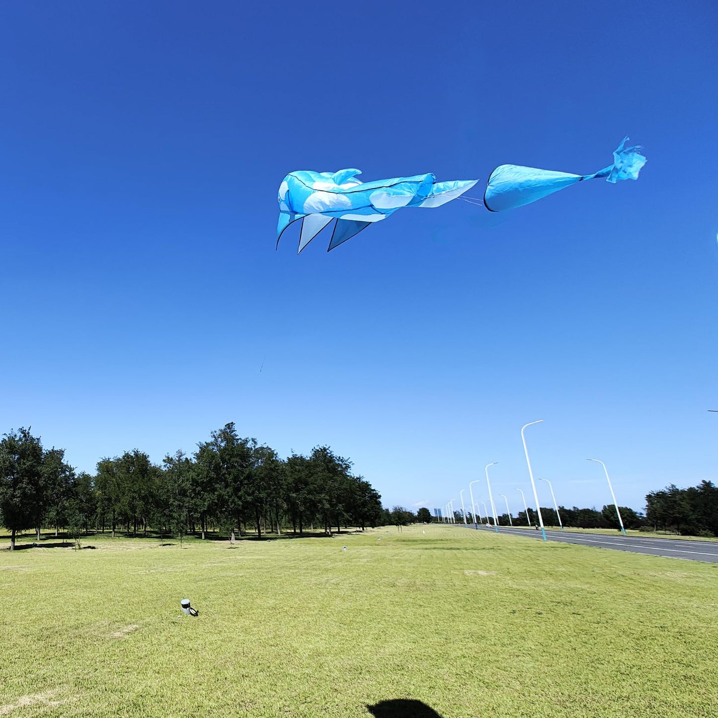 Kaiciuss Orcas Kite For Kids & Adults - Large 3D Single Line Beach, Huge Frameless Soft, Giant Parafoil Whale Breeze - 300Ft Str