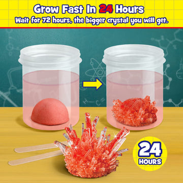 XXTOYS Crystal Growing Kit - 4 Colorful Hedgehogs - STEM Science Kit for Kids Age 6-12 - Plastic Educational Toy