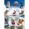 2000 Piece Puzzle for Adults - Adorable Surfing Dogs in Colorful Life Vests - Vibrant Beach Scene Jigsaw Puzzle - Challenging 20