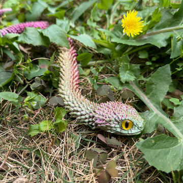 3D Printed Snake Toys,3D Printed Animals,Articulated Flexible 3D Printed Viper Fidget Toy,Realistic Slithering Design, Collectib