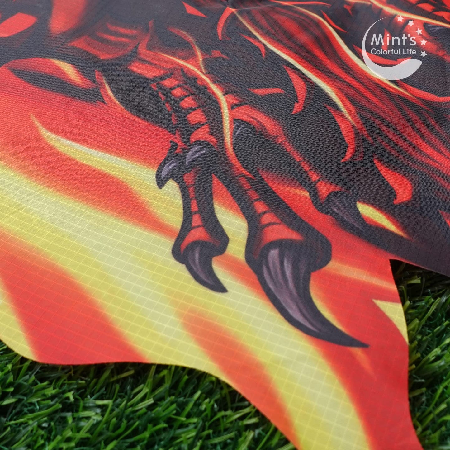 Dragon Kite For Kids Adults, Easy To Fly Best Delta Beach Kite, 300Ft Kite String(Fiery)