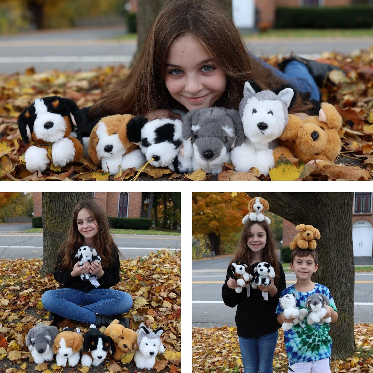 Tezituor 6Pcs Bulk Dog Stuffed Animals, Fluffy Assorted Stuffed Puppy Plush Toys For Kids, 11' Schnauzer,Husky, Bernese, Golden Retriever, Beagle,Spotted Dog Doll Set For Dog Themed Party Favors Gift