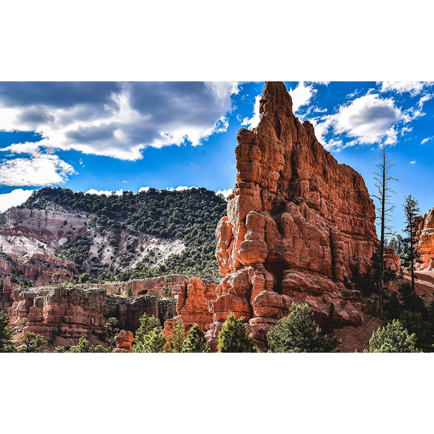 World Travelers Puzzles - 1000 Piece Nature Jigsaw Puzzle for Adults & Families - Scenic Photography of Dixie National Forest i