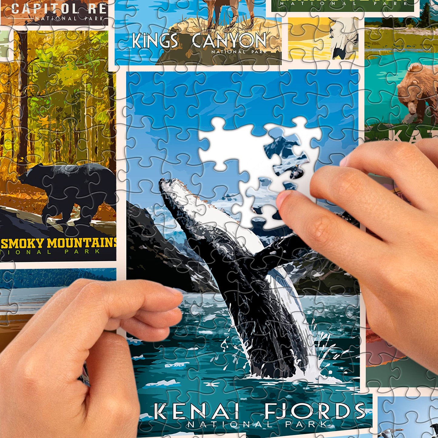 1000 Piece Jigsaw Puzzle - National Parks Puzzle