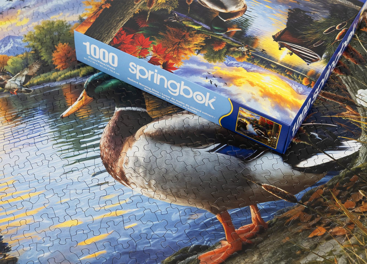 Springbok 1000 Piece Jigsaw Puzzle - Mallard Morning Glow - Unique Cut Cardboard - 24x30 inches - Model 33-11314