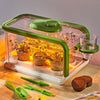 Mostop Kids Plant Growing Kit - Medium Gardening Greenhouse with Drip Irrigation & Grow Lights, STEM Terrarium for Ages 3-8