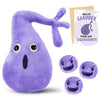 Winnerwhy Gallbladder Plush Set Gall Surgery Recovery Gifts Include Gall Plush With Gallstones Stuffed And Gallbladder Get Well