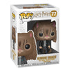 Funko 35509 Harry Potter Hermione as Cat Pop Vinyl Figure
