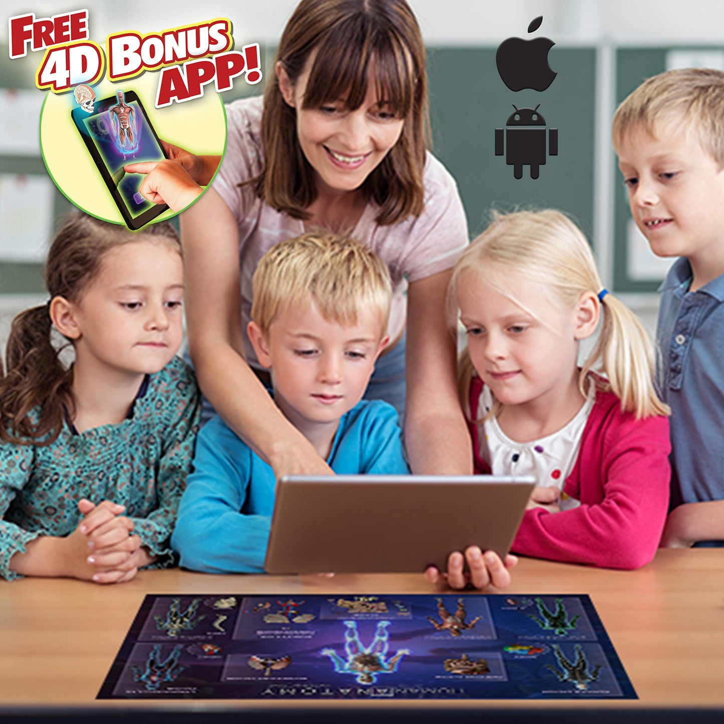 Popar Human Anatomy Smart Mats, Multicolored, Set Of 4 (Iepsmha)