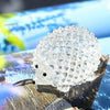 H&D Hyaline & Dora Cut Clear Crystal Hedgehog Animal Figurine Collection Glass Ornament