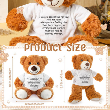 Lenwen a Bear Hug Gift Get Well Soon Bear Sympathy Gift for Women Plush Stuffed Animal Hug Thinking of You Condolences Memorial