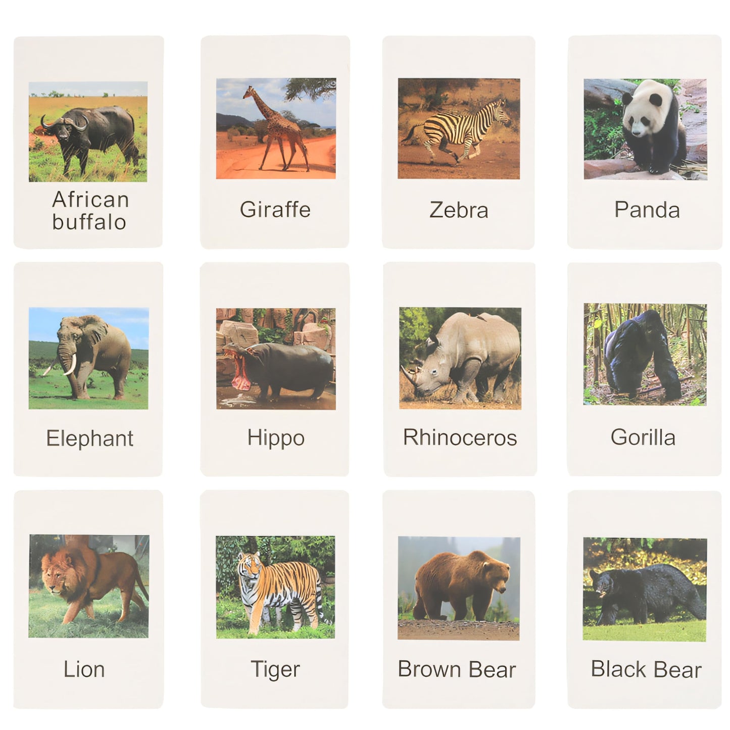 12 Preschool Science Toys - Educational Materials With Animal Matching Models Flash Cards, Animal Figurines For Kids (Zoo)