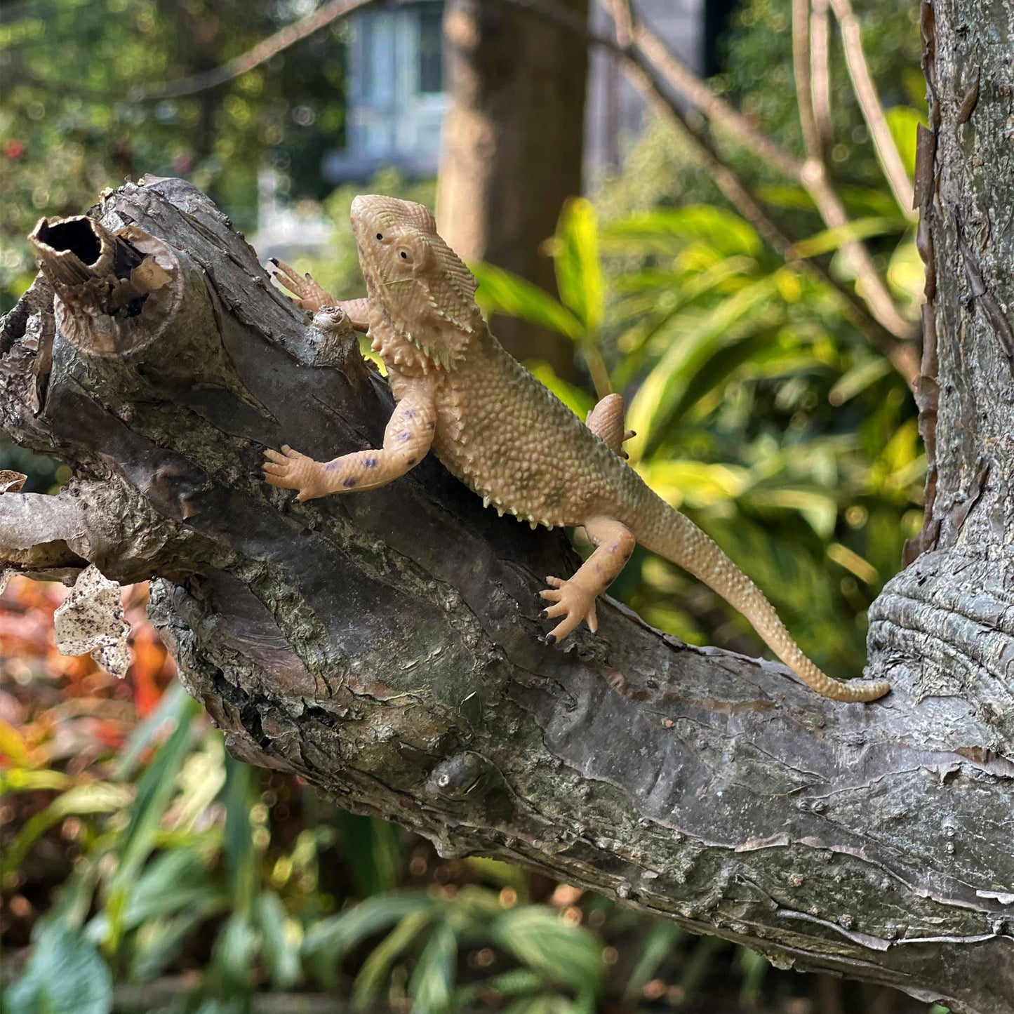 Nakimo Bearded Dragon Animal Figurine Lizard Toy Realistic Reptile Figures For Decoration, Science Education, Prank Props (Bearded Dragon)