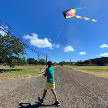 Simxkai 2 Pack Kites-Rainbow Delta Kite And Blue Butterfly Kite, Easy To Fly Kite For Kids And Adults,2 Kite Line Handles With 320Ft Lines Each, 2 Pack Kite ( Delta Butterfly )