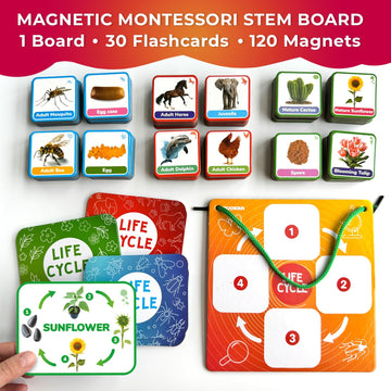 Quokka Life Cycle Kit Toy Montessori - 30 Flash Cards Toddler Science Activities For Kids Ages 2-4 - Prek Animal Learning Materials 3-5 - 120 Magnetic Toddler Classroom Must Haves For Preschool