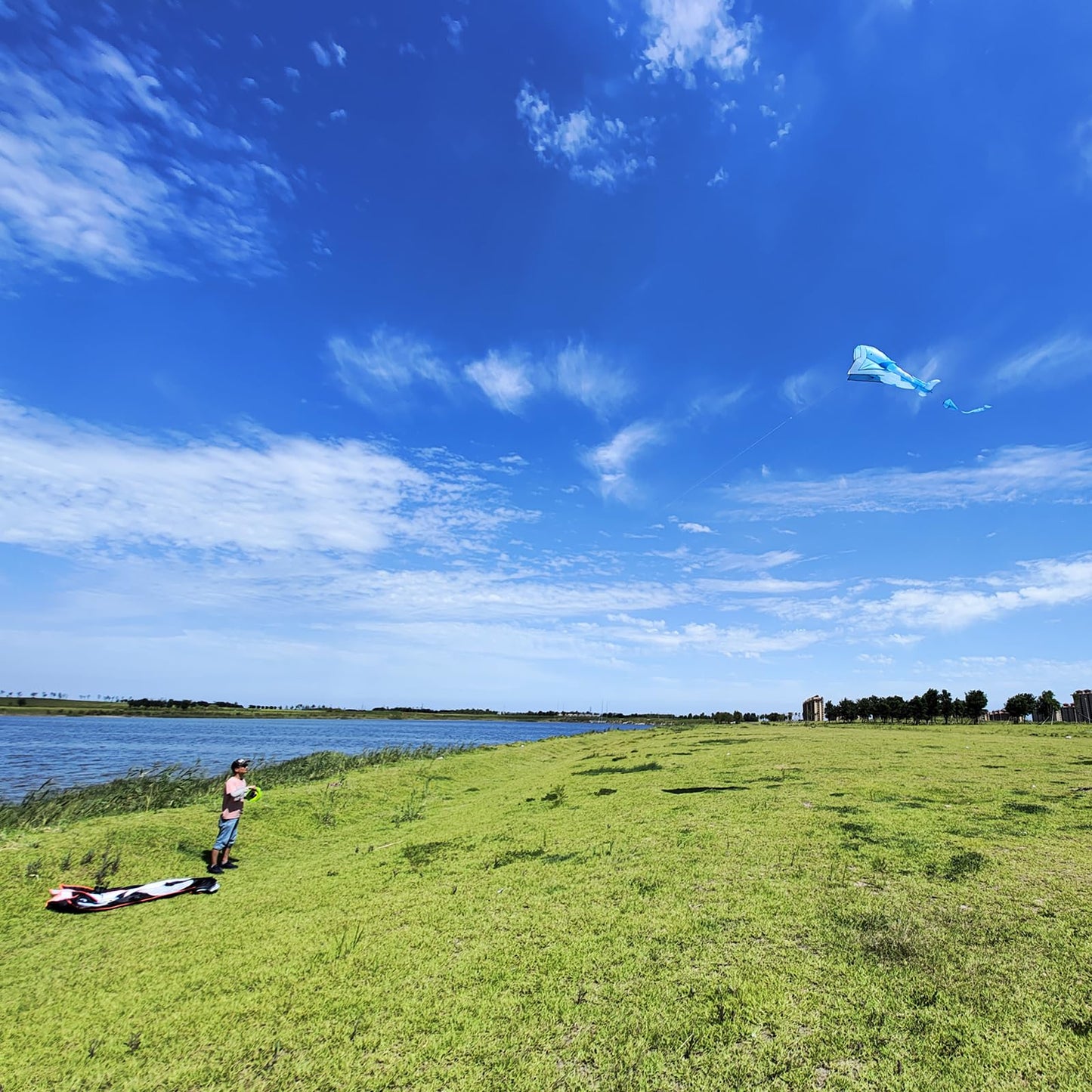 Kaiciuss Orcas Kite For Kids & Adults - Large 3D Single Line Beach, Huge Frameless Soft, Giant Parafoil Whale Breeze - 300Ft Str