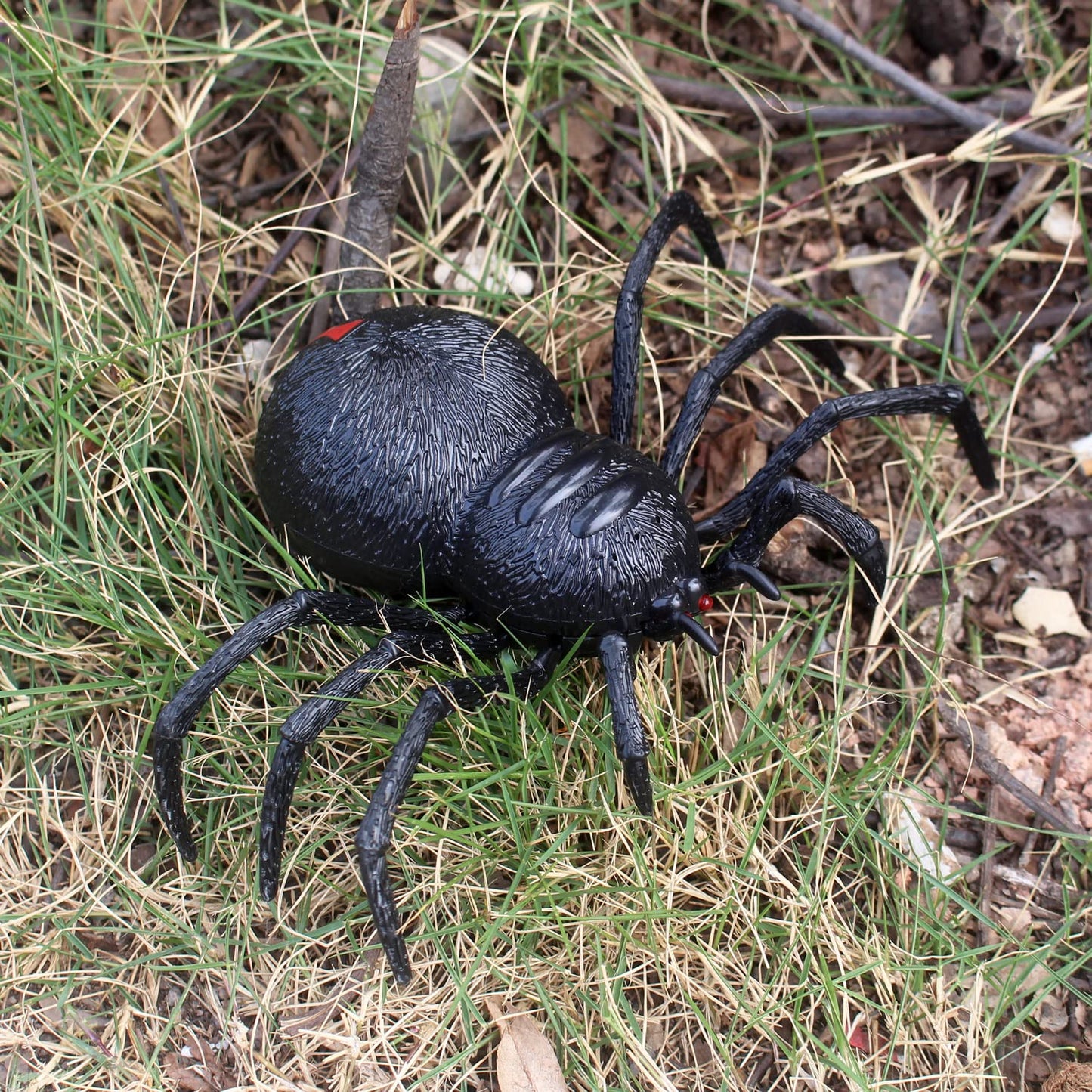 Tipmant Rc Spider Remote Control Tarantula Realistic Animal Crawler Scary Trick Kids Halloween Christmas Prank Gag Toys Birthday Gifts (Black Plastic)