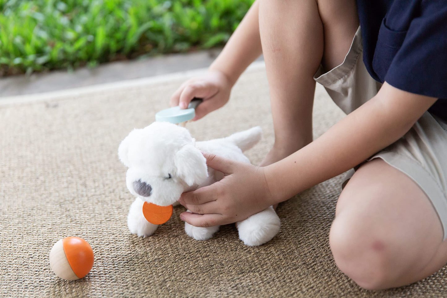 PLAN TOYS All Other Medical Games PLANTOYSSET Pet Care, Multi-Colour (More Than One)