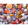 500 Pieces Jigsaw Puzzles For Adults-Colorful Beach Shells Puzzle For Adults Children Elderly-Recycled Paper Puzzle 500 Pieces-G