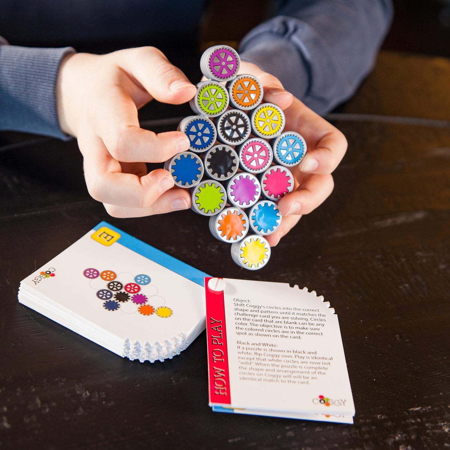 Fat Brain Toys Coggy