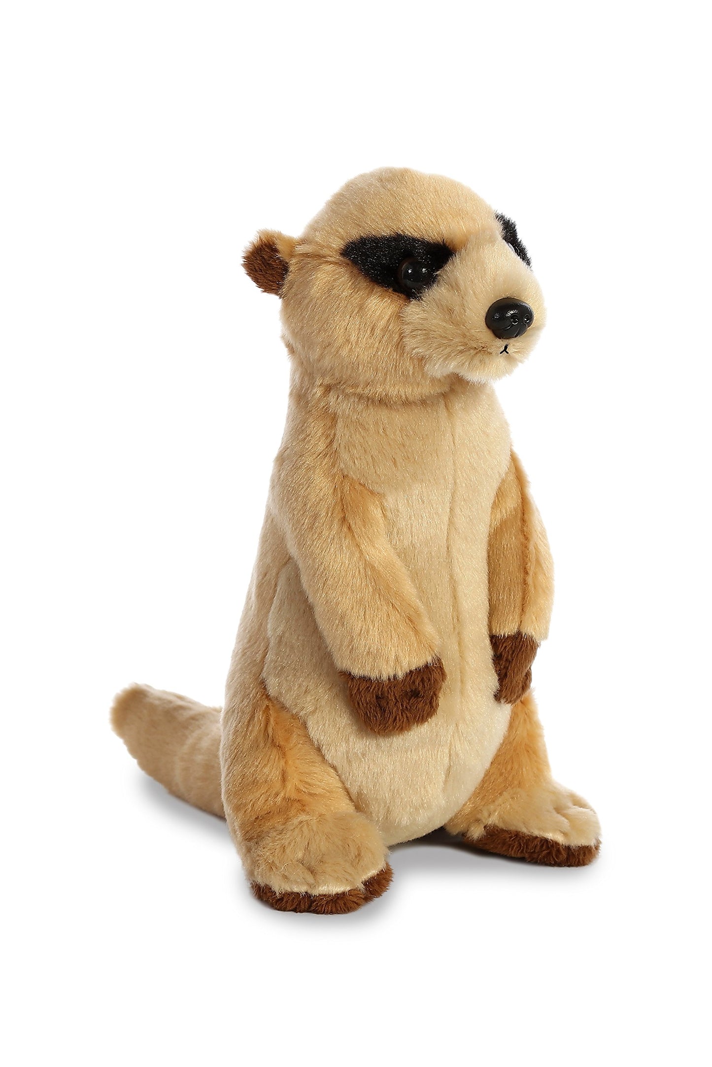 Aurora - Destination - 8' Meerkat