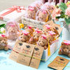 50 Pcs 2025 Preschool Graduation Bear Bulk Set with 25 Mini Graduation Gift Stuffed Bear 25 Adjustable Wish Bracelets Organza Ba