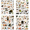 800 Pieces Jungle Animal Stickers Realistic Zoo Animal Stickers Safari Animal Stickers Sea Animal Stickers For Water Bottle Scrapbook Class Rewards Sea Animal Party Supplies (Jungle Animal)