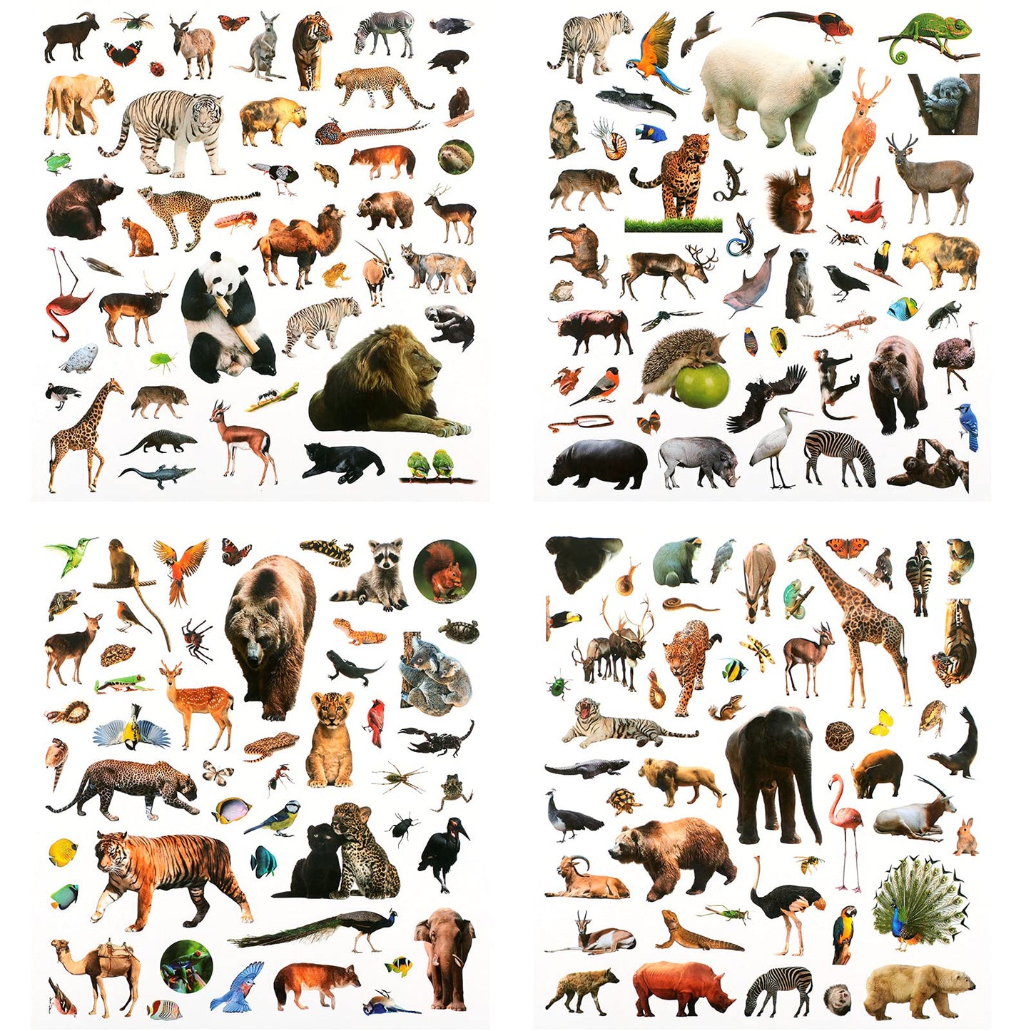 800 Pieces Jungle Animal Stickers Realistic Zoo Animal Stickers Safari Animal Stickers Sea Animal Stickers For Water Bottle Scrapbook Class Rewards Sea Animal Party Supplies (Jungle Animal)