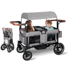 Kinder King Folding Wagon Stroller For 2 Kids, Convert To Newborn Bassinet, 2 Seater W/Removable Canopy, Adjustable Handle, All-