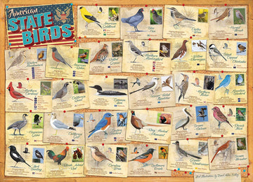 American State Birds By David Sibley
