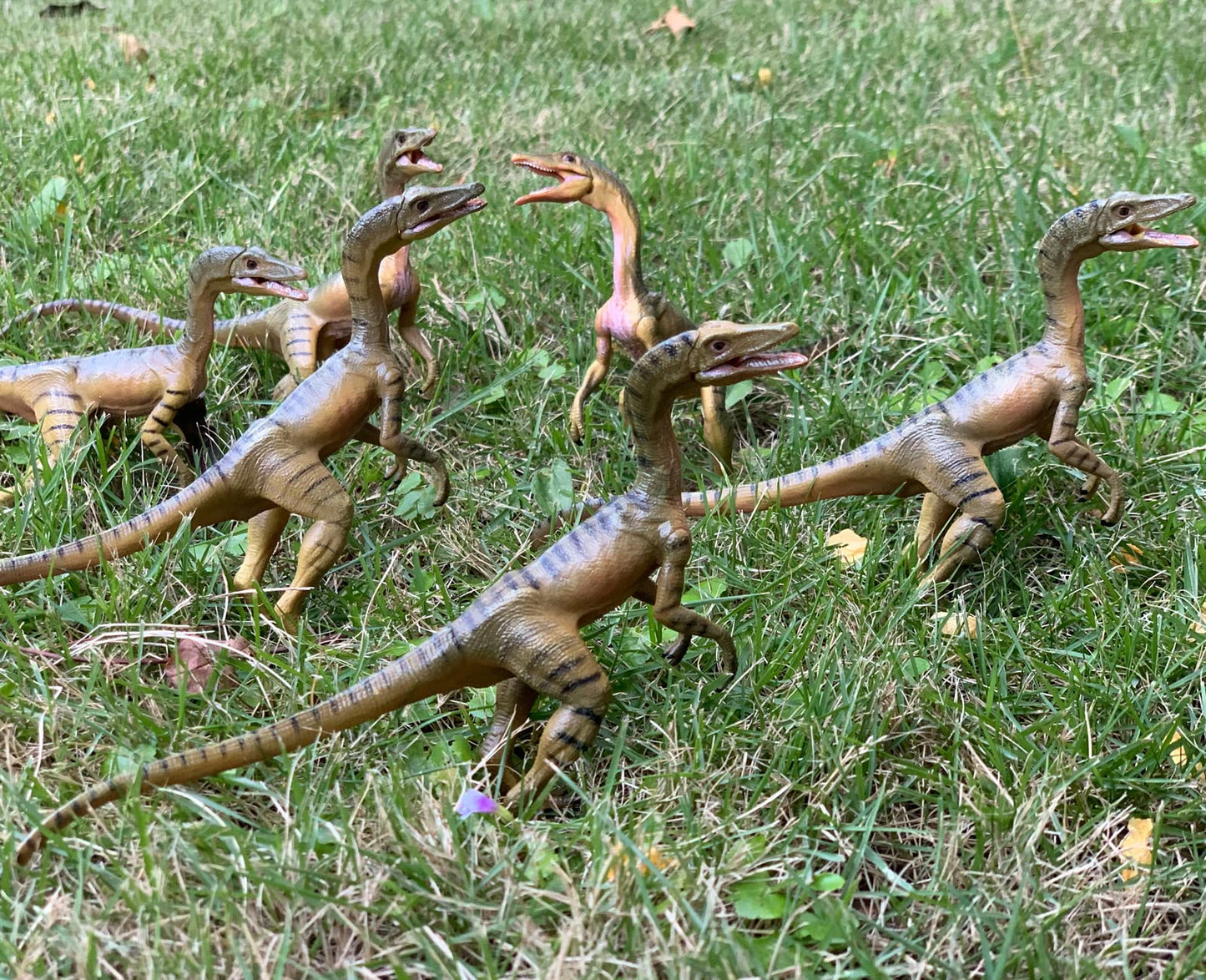 Gemini&Genius Compsognathus Dinosaur Toy For Kids, Realistic Dinosaur Action Figure Toy With Moveable Jaw, Cake Topper, Gift Or Display For Kids