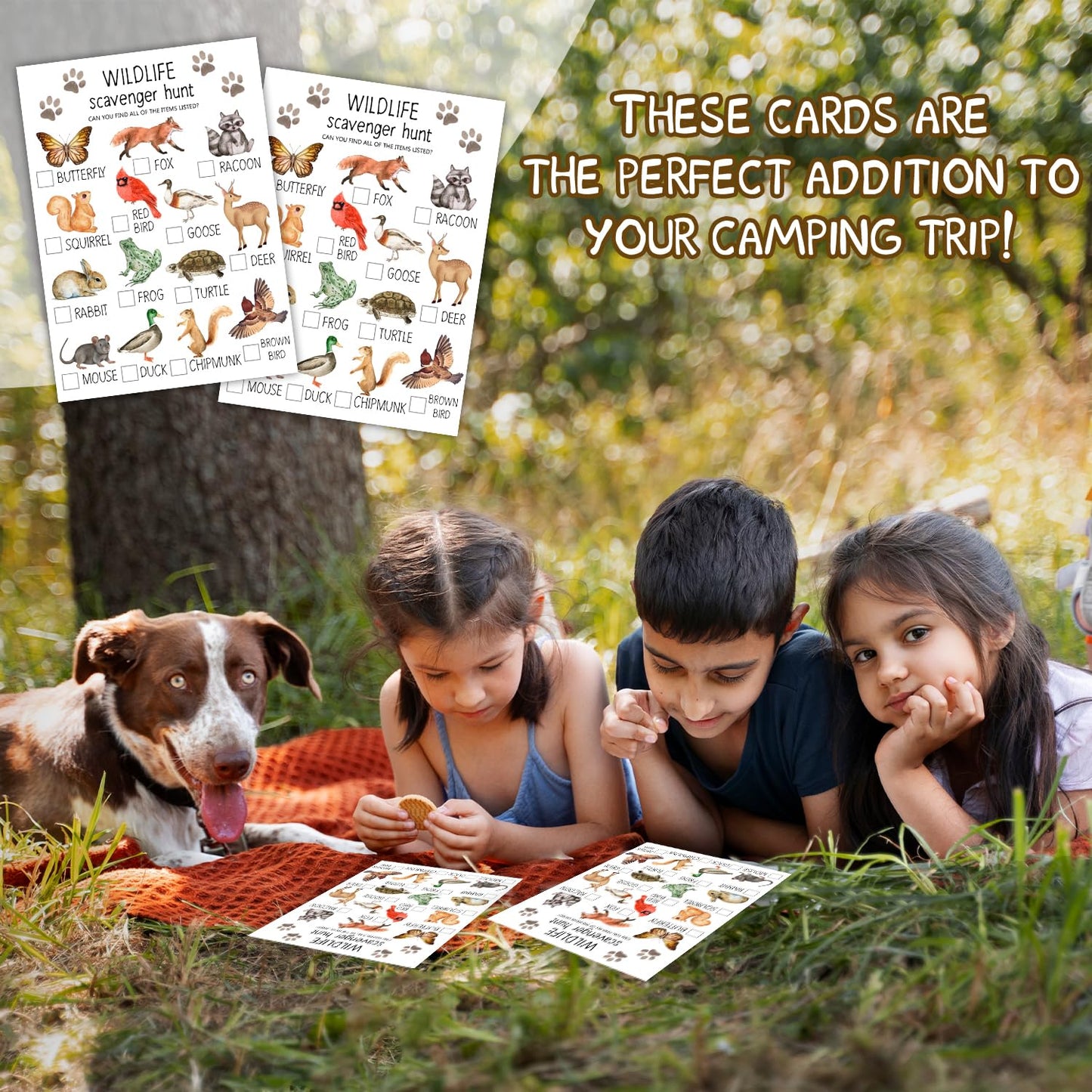 Ltazhyi Wildlife Scavenger Hunt Cards Set Of 30 Pcs, Nature Treasure Hunt Game For Family Friends, Outdoor Holiday Party Game Fi
