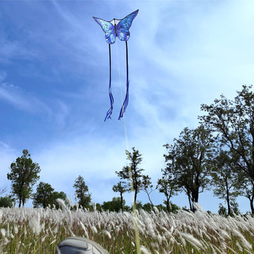 Kaiciuss Butterfly Kite For Kids & Adults, Single Line For Beach Trip, Easy To Assemble For Kids And Beginners, Flying Butterfly Design For Children, It Comes With 300 Ft String Line Handle