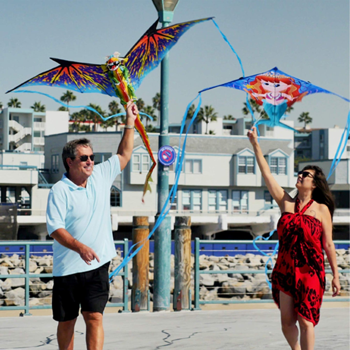 Windnsun Dino Soars T-Rex Nylon Kite, 44 Inches Tall