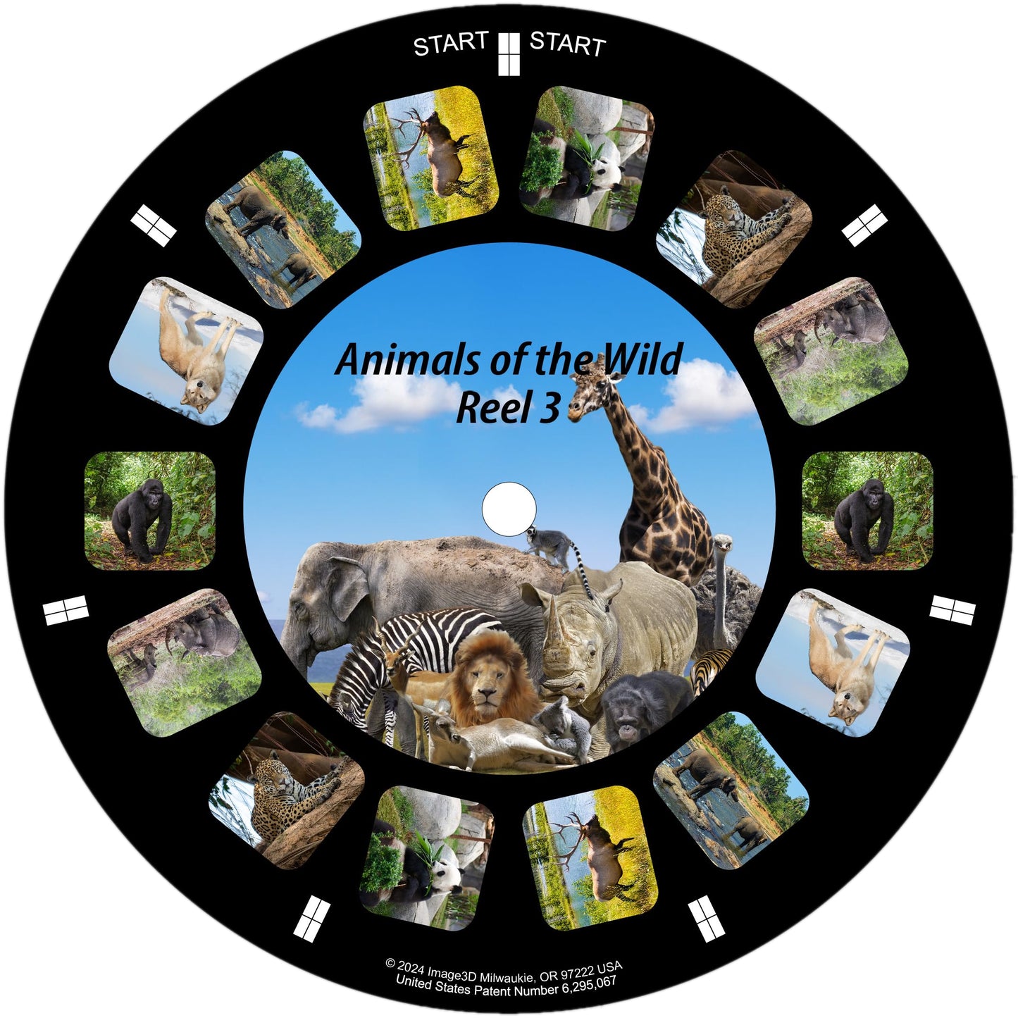 Animals of The Wild, Viewfinder reels with 3D Images (Set of 3 Reels) 21-3D Images Compatible with Classic Viewmaster and Image3