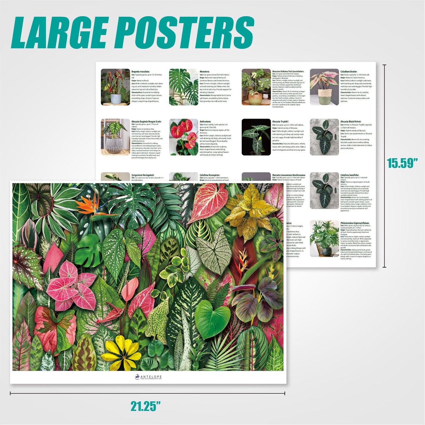 Antelope - 1000 Piece Puzzle For Adults, Foliage Frenzy - Jigsaw Puzzles 1000 Pieces, High Resolution, Matte Finish, No Dust