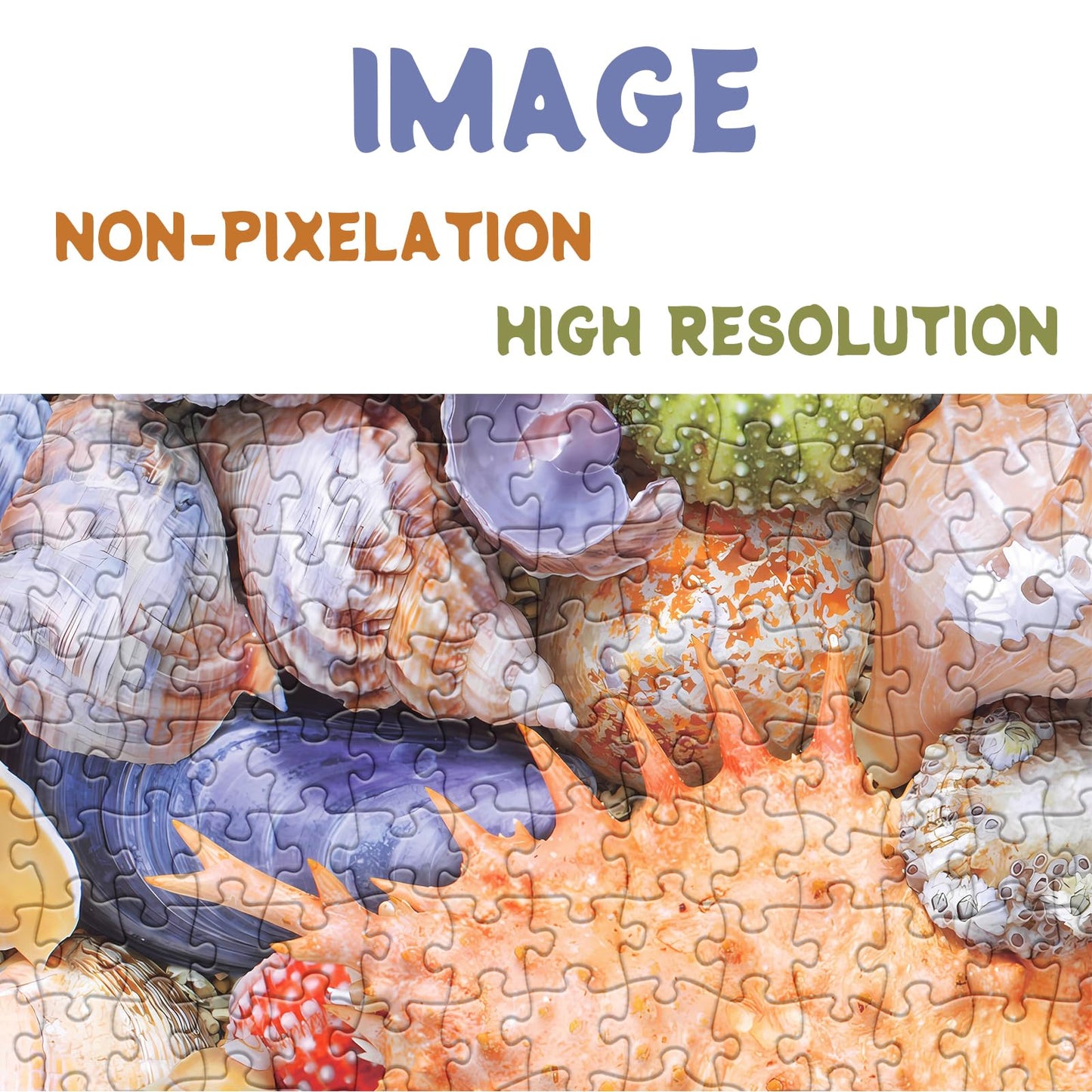 Colorful Seashell Puzzle For Adult 1000 Piece, Ocean Beach Puzzle 1000 Pieces For Adult, Marine Jigsaw Puzzles Hawaii 1000 Piece For Adult