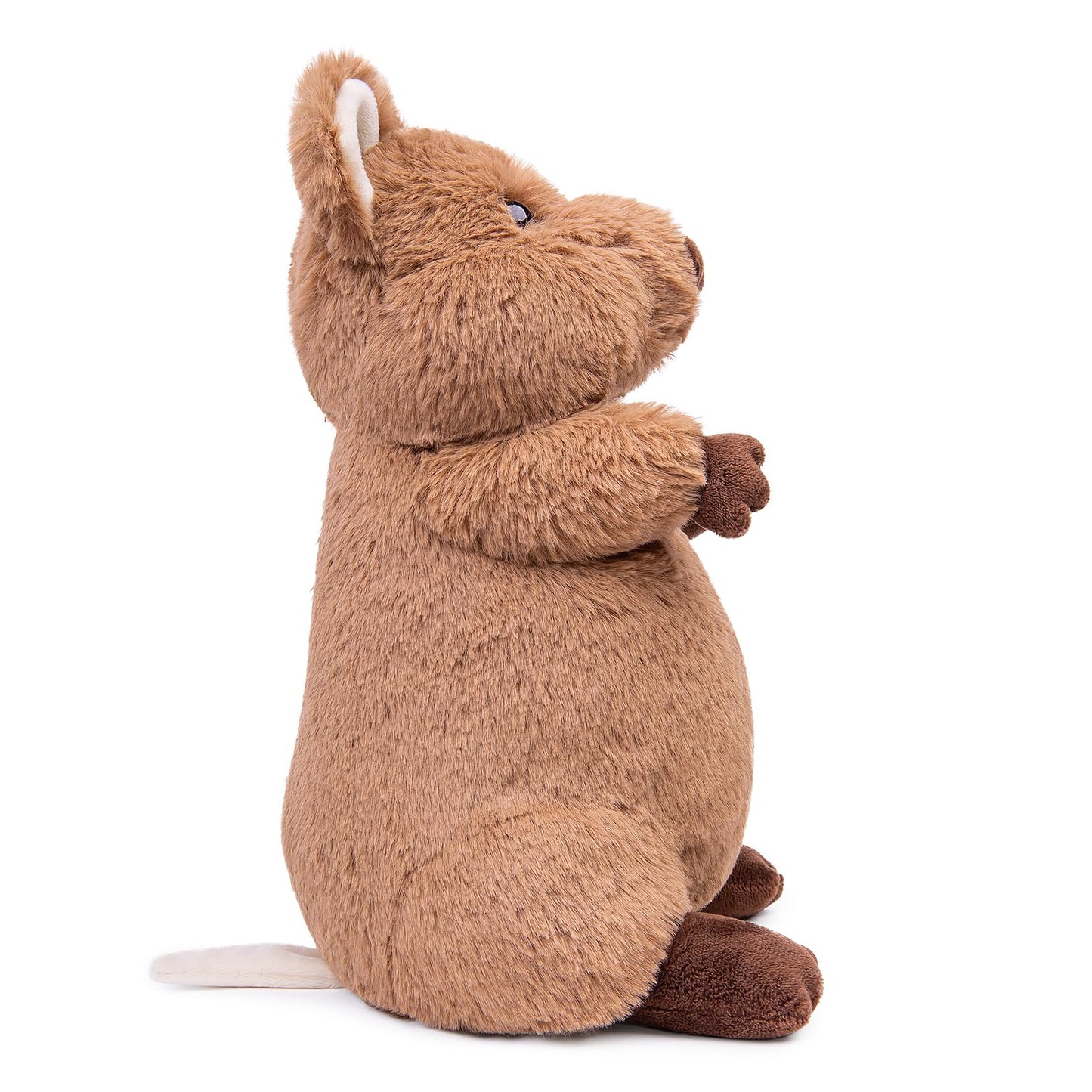 Zhongxin Made Quokka Plush Toy - Realistic Quokka Stuffed Animals, Lifelike Short Tail Kangaroo Animals Stuffed Toys Birthday Gifts For Kids, 12Inches