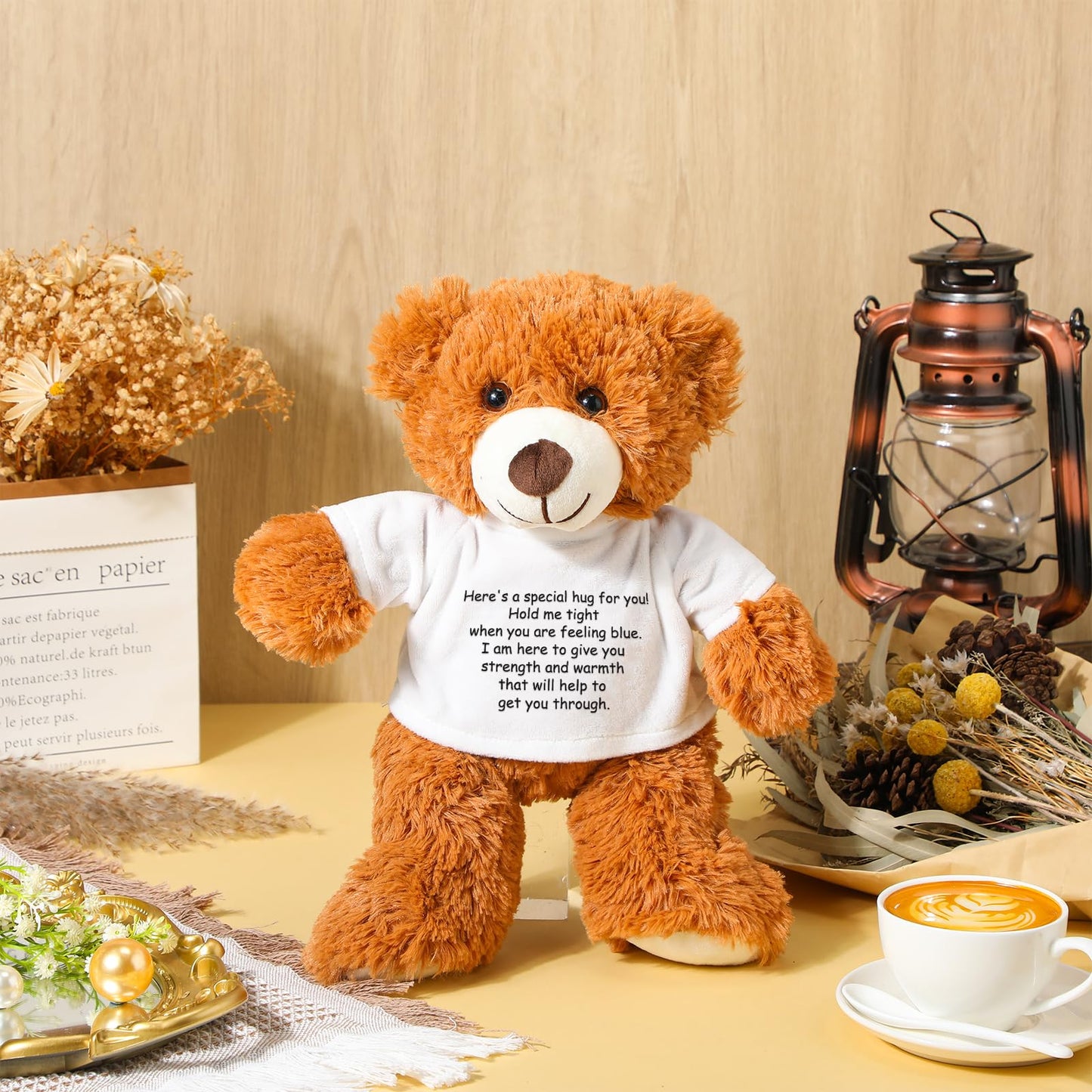 Lenwen a Bear Hug Gift Get Well Soon Bear Sympathy Gift for Women Plush Stuffed Animal Hug Thinking of You Condolences Memorial