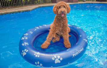 PoolCandy Inflatable Pet Float - Large Dog Pool Float for Pets Up to 100LB, Durable Plastic, Model PC2302BL