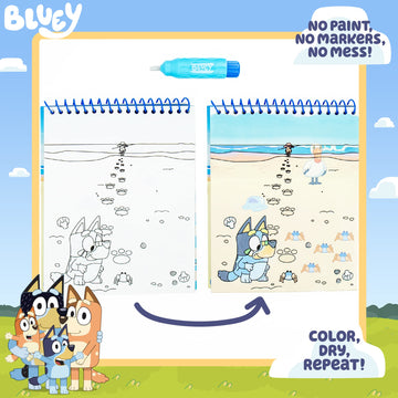 Horizon Group USA Aqua Art - Reusable Water Reveal Pages, 6"x9", Bluey, Model 214736, No-Mess Drawing and Coloring