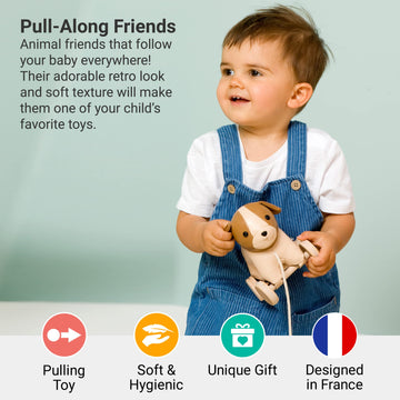 Little Big Friends Pull Along Friends | Pull Along Toy For Baby | Traditional Toys | Easy To Clean | Adrien The Dog