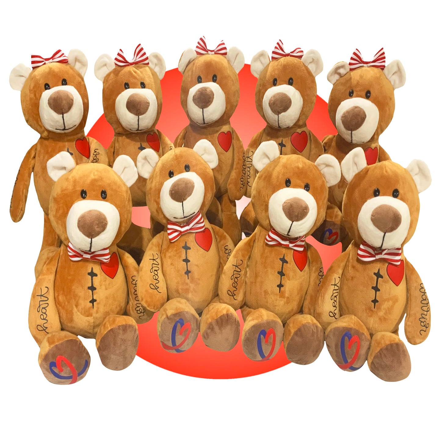 Personalized Heart Warrior Teddy Bears - Baby Heart Surgery Gift - Open Heart Surgery Bears - Custom Scar Buddy - Chd Awareness