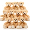 MaoGoLan Teddy Bears - 10 Packs of 13.5" Plush Stuffed Animals for Baby Showers, Weddings, Birthdays, Christmas, Party Decor