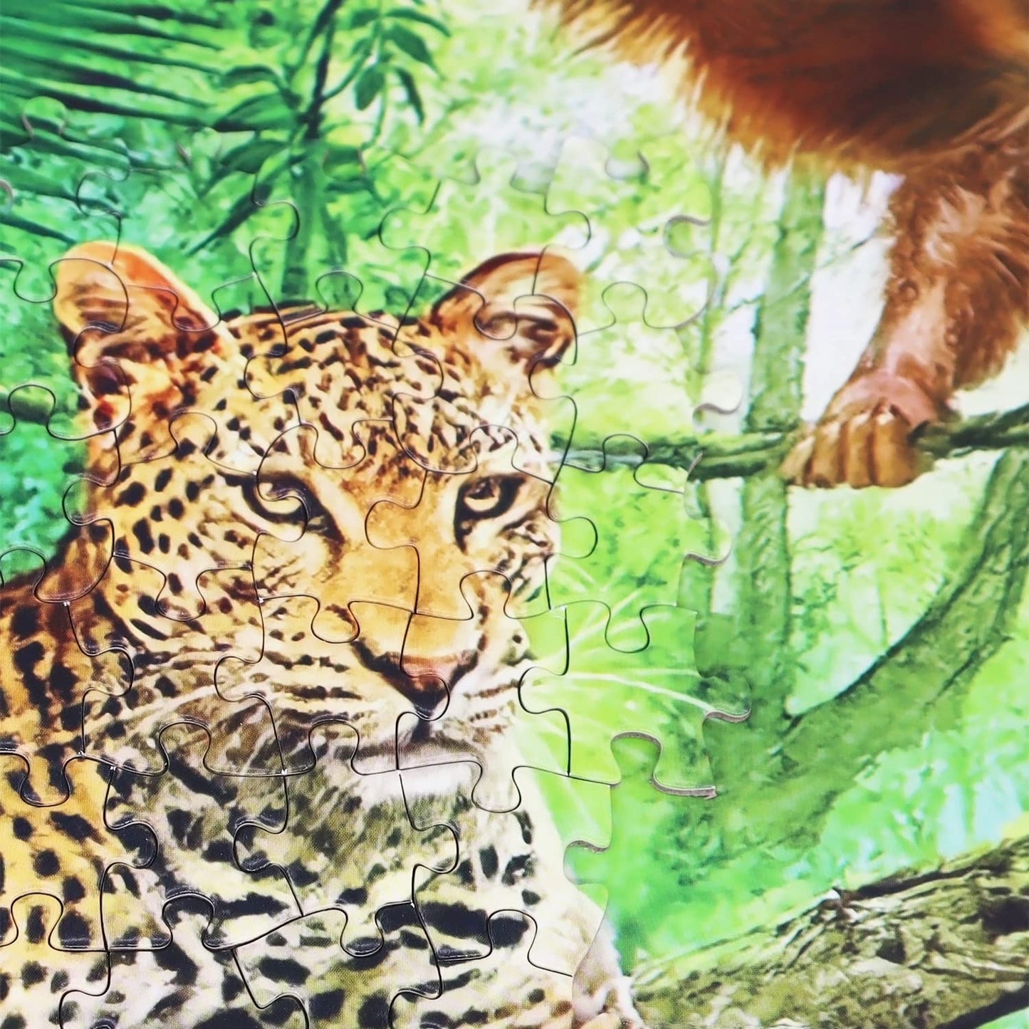 Beduke Jigsaw Puzzles For Adults 1000 Piece - Every Piece Is Unique - Precise Interlocking Tropical Forest Animals Thick Sturdy Cardboard Family Game Puzzle Age 14+