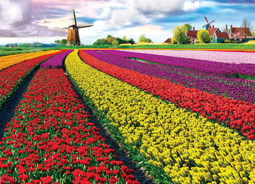 EuroGraphics 1000-Piece Jigsaw Puzzle - Tulip Field, Red, Model 6000-5326, Cardboard